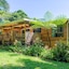 The Epiphyte Bed & Breakfast