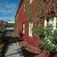 Rosie's Inn