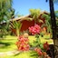 Hotel Pousada Beleza Das Ondas