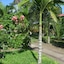 Aiyana Lodge