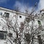 La Palma Hostel - Pensión Central