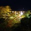 Momijiya Of Takao Kyoto