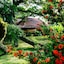 Ecovital Costa Rica