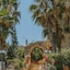Creta Vitalis