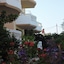 Golden Rose Suites
