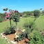 Villa Rosetta