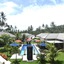 Dream Estate