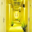 Magnolia Boutique Hotel