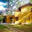 Raintree