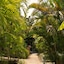 Marcosas Cottage Resort