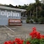 Dolphin Motel
