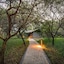 Vuyani Safari Lodge