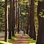 Gideon Putnam Resort And Spa