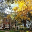 Pettigru Place Bed & Breakfast