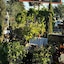 Chardonnay Lodge