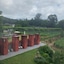 Paco de Pombeiro - Turismo de Habitacao