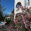 Chrysiida Luxury Suites
