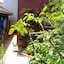 Axkan Arte Hotel San Cristobal