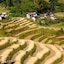 Bamboo Retreat