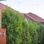 Excella Hotel