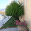 Oasis Tigaki
