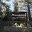 Mountainback At Mammoth