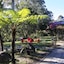 Cedar Creek Lodges
