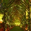 Radisson Blu Dhaka Water Garden