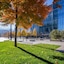 The Ritz-Carlton