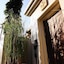 Two Villas Holiday Onyx Style