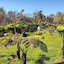 Volcano Acres Ranch B&B