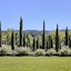 Rosewood Sand Hill