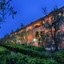 Hotel Palme Gemelle