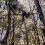 Aamod Resort - Shoghi