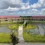 Golden Peacock Resort Hotel