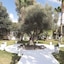 El Yam Luxury Resort