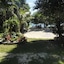 Sea Turtle House