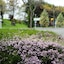 Blenheim Bridges Holiday Park