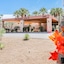 Desert Isle Of Palm Springs