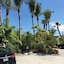 Palm Tree Villas