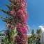Le Hammamet Hotel & Spa