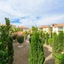 Great Kings Resorts
