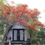 Kaluku Gili Resort