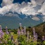 Glenorchy Peaks B&B