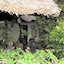 Parrot Lodge