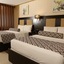 Olive Tree Amman