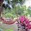 Eden Jungle Resort