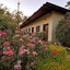 Hill 'N' You - A Boutique Garden Resort