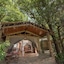 Fig Tree Camp