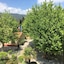 Grand Hotel Moriaz
